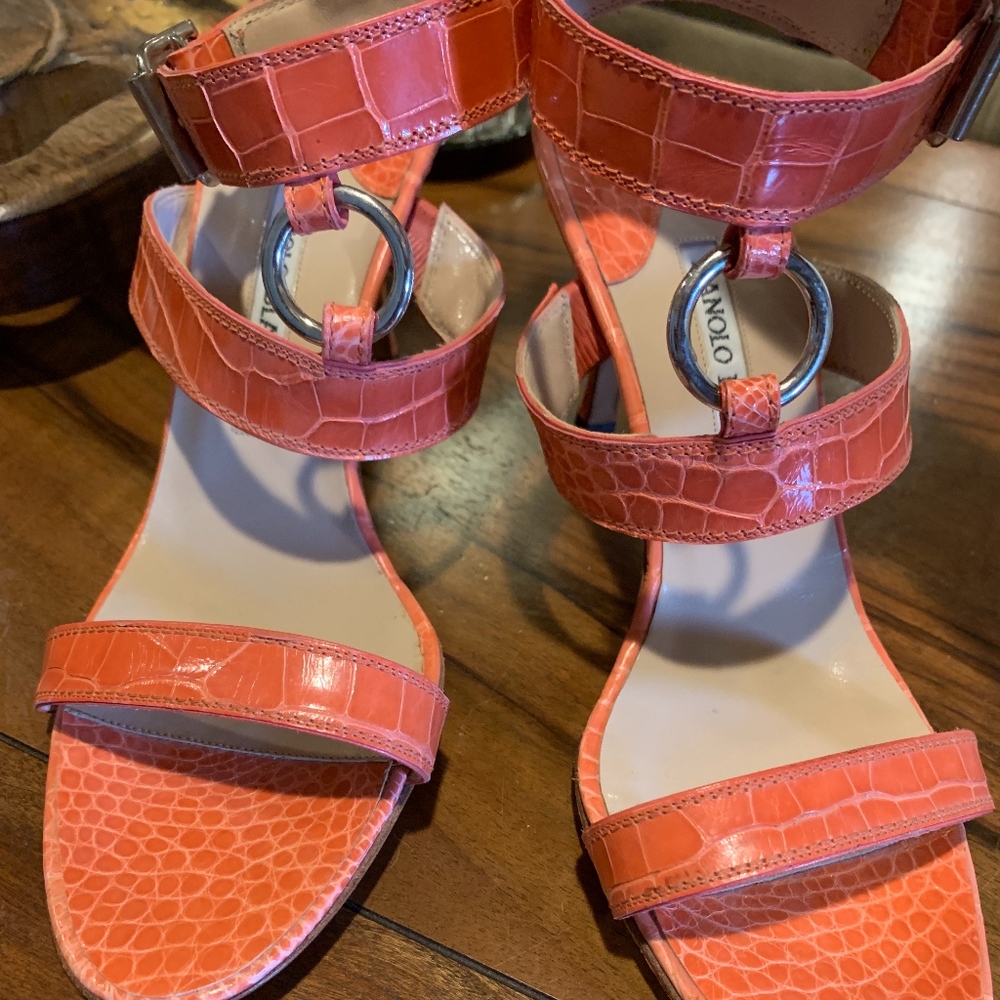 Like New Manolo Blahnik sandals